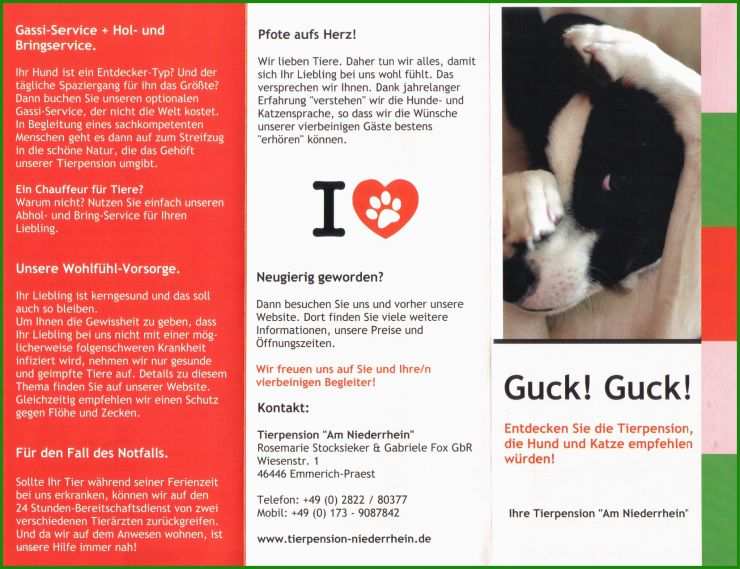 Hund Vermisst Flyer Vorlage