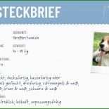 Hunde Steckbrief Vorlage 4 Hunde Steckbrief Vorlage