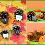 Igel Aus Blättern Basteln Vorlage