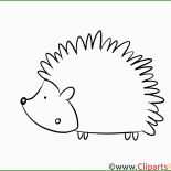 Igel Basteln Vorlage Kostenlos