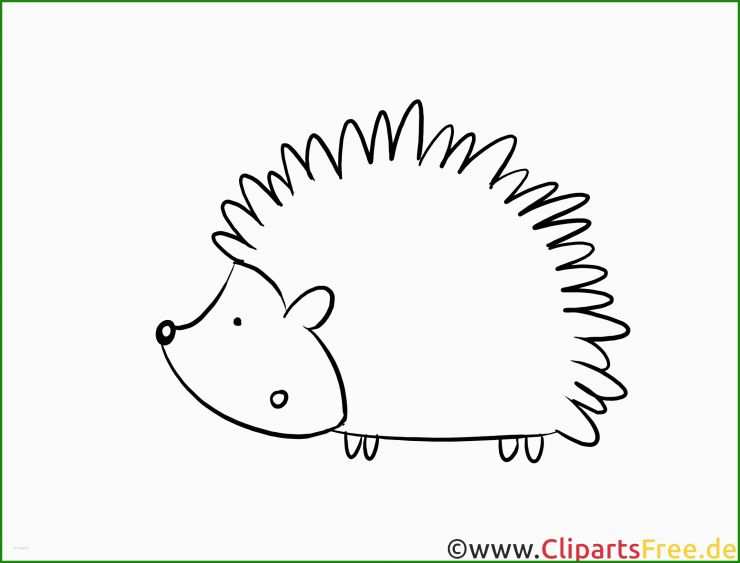 Igel Basteln Vorlage Kostenlos