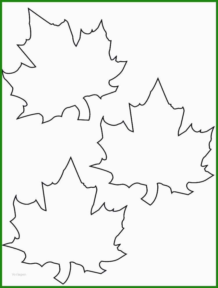 Kürzliche Posts 7 Igel Basteln Vorlagen