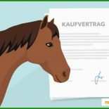 Immobilien Kaufvertrag Muster Kostenlos