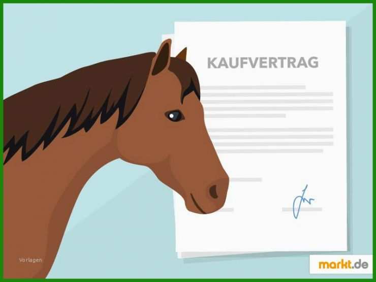 Immobilien Kaufvertrag Muster Kostenlos