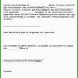 In Vertretung Brief Muster 10 In Vertretung Brief Muster