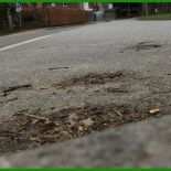 Kann Nur Einer Den Mietvertrag Kündigen