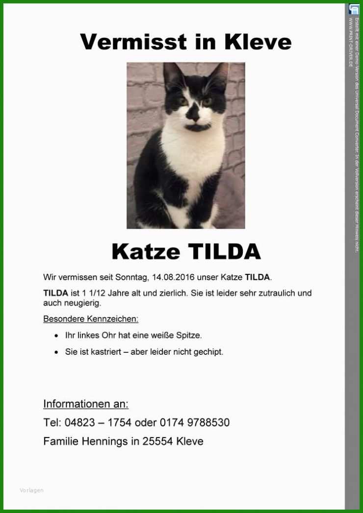 Katze Entlaufen Steckbrief Vorlage