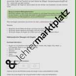 Katze Vermisst Flyer Vorlage