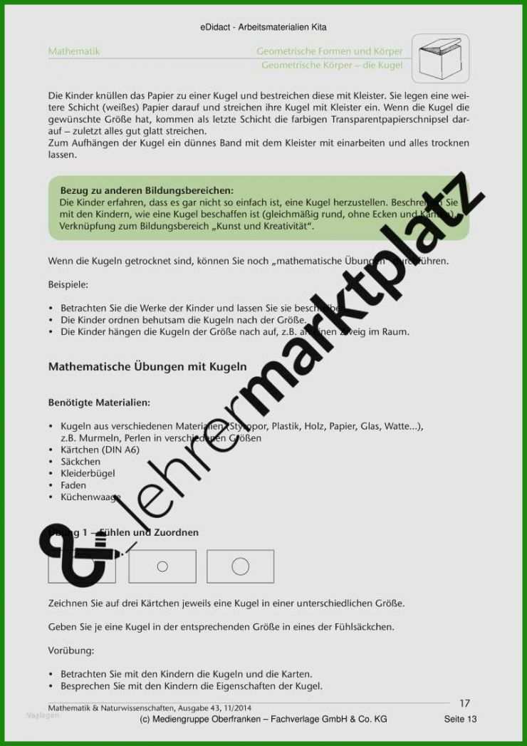 Katze Vermisst Flyer Vorlage