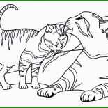 Katzen Vorlagen Zum Basteln