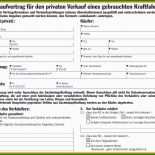 Kaufvertrag Katze Vorlage