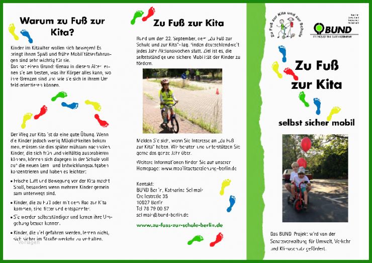 Kita Flyer Vorlage