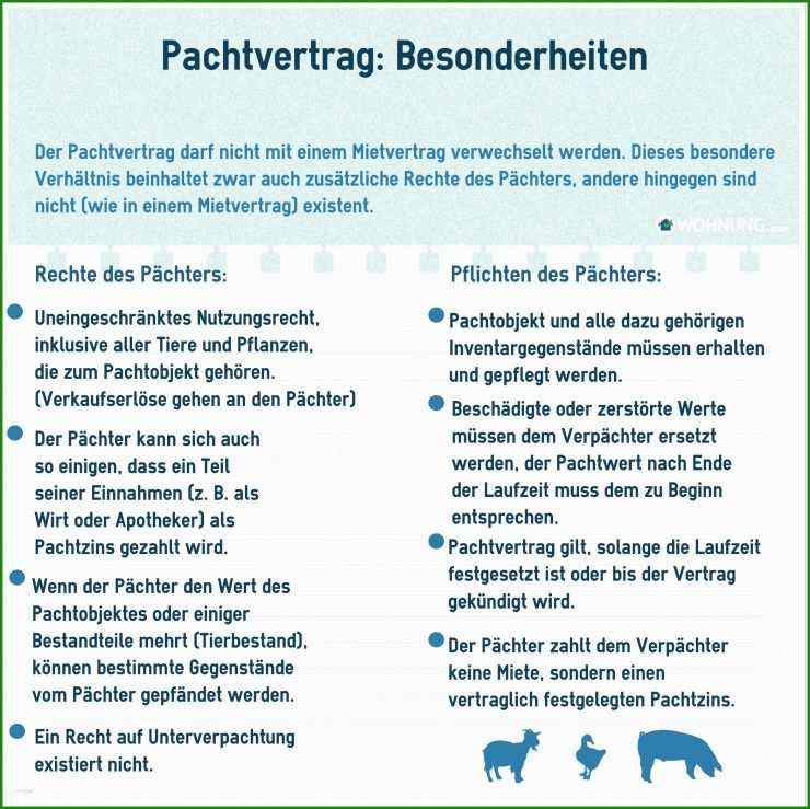 Kleingarten Kündigung Pachtvertrag Muster