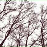 Kondolenzschreiben An Freunde