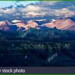 Kondolenzschreiben Selbstmord 5 Kondolenzschreiben Selbstmord