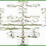 Kostenlose Stammbaum Vorlagen