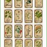 Kräuter Etiketten Vorlagen 2 Kräuter Etiketten Vorlagen