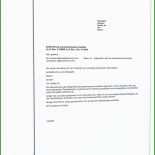 Kündigung Gemeinsamer Mietvertrag Muster