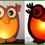 Laterne Basteln Eule Vorlage 3 Laterne Basteln Eule Vorlage