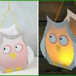 Laternen Basteln Vorlagen Dinosaurier