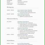 Lebenslauf Businessplan Vorlage