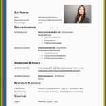 Lebenslauf Steckbrief Muster