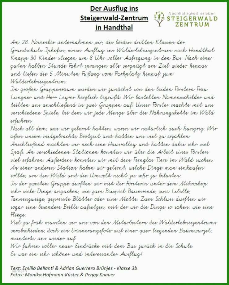 Leckortung Bericht Muster