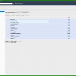 Lexware Businessplan Muster