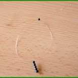 Libelle Basteln Vorlage