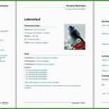 Libre Office Flyer Vorlage