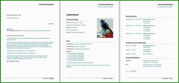 Libre Office Flyer Vorlage