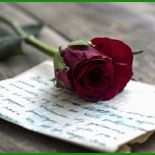 Liebesbrief Vorlage Word