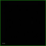 Maikäfer Basteln Vorlage