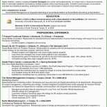 Management Report Vorlage 7 Management Report Vorlage