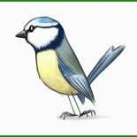 Meise Basteln Vorlage