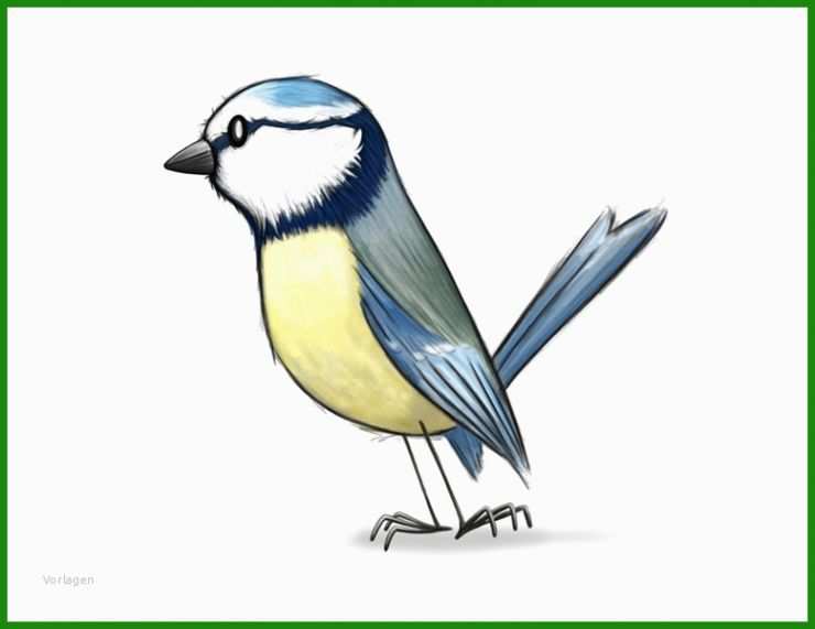 Meise Basteln Vorlage 3 Meise Basteln Vorlage