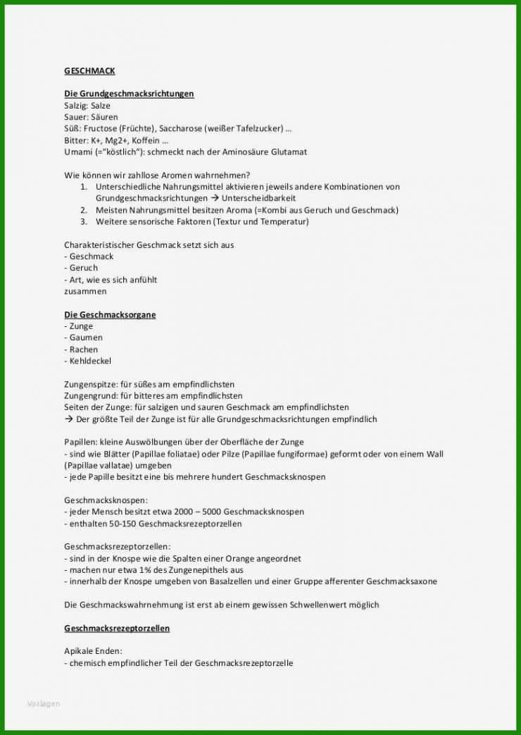 Microsoft Word Handout Vorlage