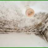 Mietvertrag Kündigen Beruflichen Gründen