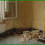 Mietvertrag Kündigen Erben