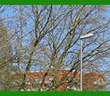 Mietvertrag Kündigen Krankheit