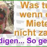Mietvertrag Kündigen Mieter