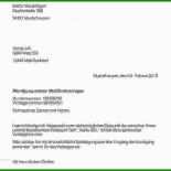 Mietvertrag Muster Mieterbund