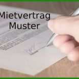 Mietvertrag Vorlage Mieterbund
