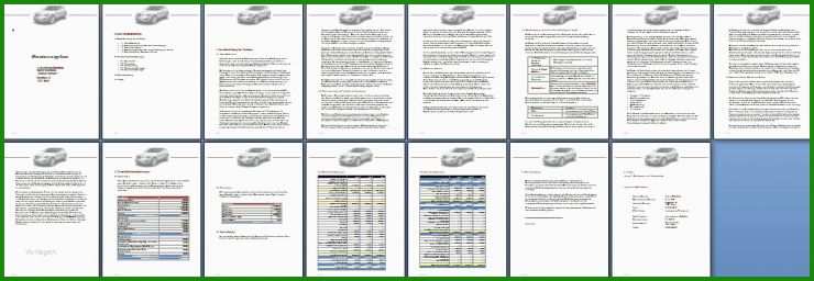 Muster Businessplan Wellness