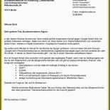Muster Offener Brief