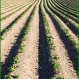 Muster Pachtvertrag Ackerland 6 Muster Pachtvertrag Ackerland