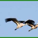 Muster Pachtvertrag Landwirtschaft Niedersachsen