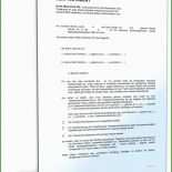 Muster Testament Eheleute Kinderlos