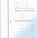 Muster Testament Pflichtteil