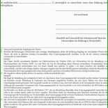 Muster Ursprungserklärung Auf Rechnung